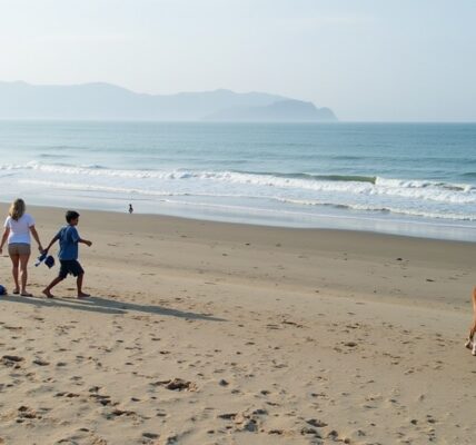 Explorez les incontournables et activités incontournables à ne pas manquer à Canggu
