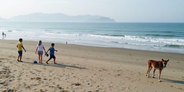 Explorez les incontournables et activités incontournables à ne pas manquer à Canggu