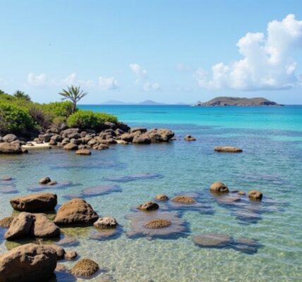 Explorer Okinawa : les activités phares et les sites immanquables à découvrir